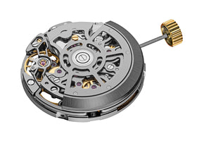 PEACOCK MOVEMENT SL4802